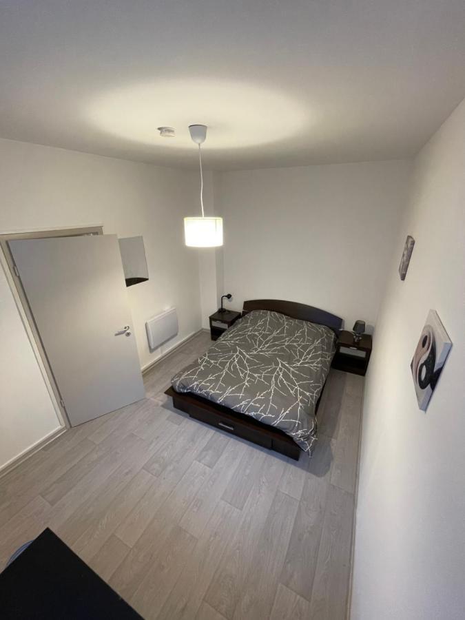 Superbe Appartement Renove Au Centre De Forbach Bagian luar foto